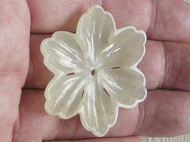 Flower 101 - (3269)